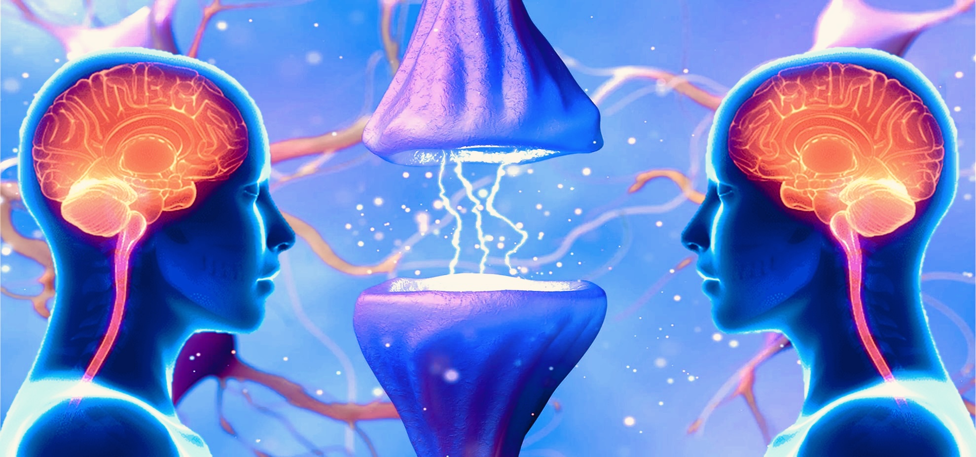 BIOL318 001 202540 Home biol318-001-202540-home