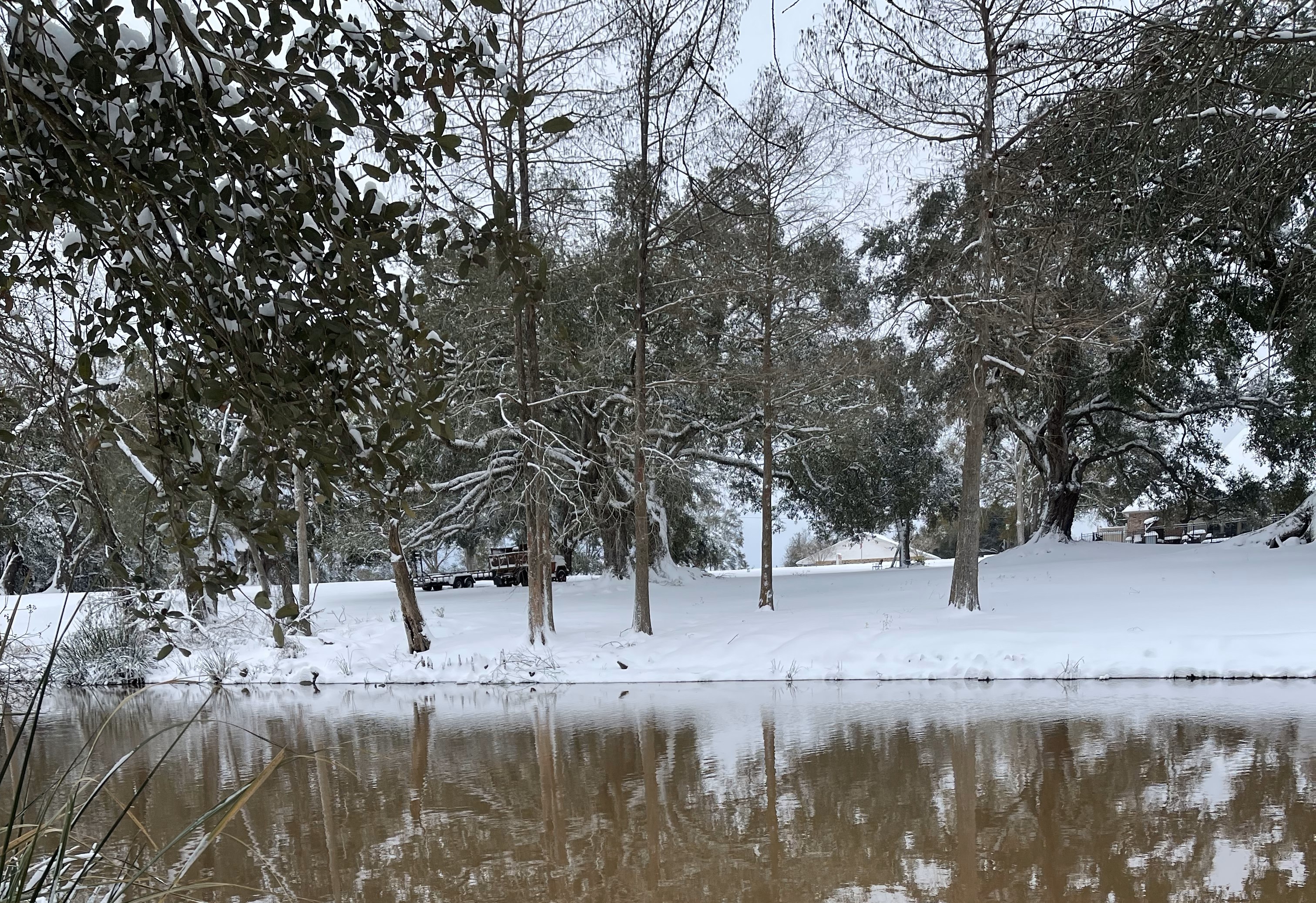 nurs403a-b10-202540-home